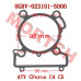 气缸体垫片 - Model MICF0GRV-023101-5000 CFMoto 气缸体垫片 0GRV-023101-5000 | CForce C4/C5 & GOES TERROX