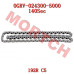 192R正时链条组件 - Model MICF0GRV-024300-5000 CFMoto 正时链条组件 0GRV-024300-5000 | CForce C5 & GOES TERROX
