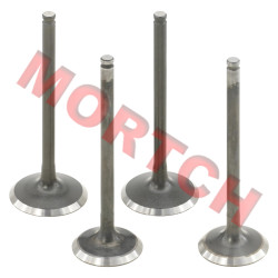 Intake / Exhaust Valve - Model MICF0GRV-02210A-5000 Intake / Exhaust Valve - Model MICF0GRV-02210A-5000