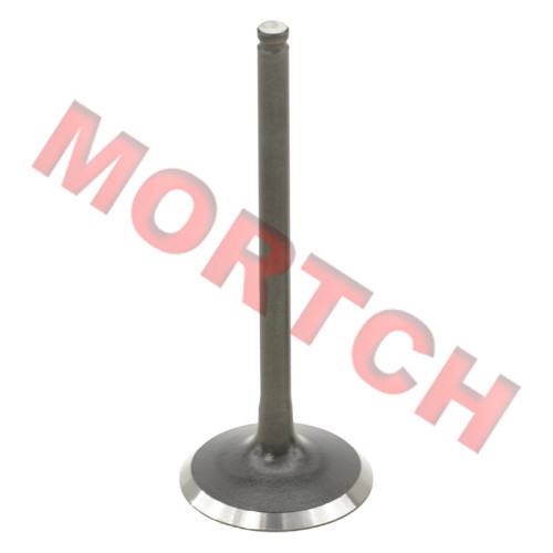 进气门 - Model MICF0GRV-022101-5000