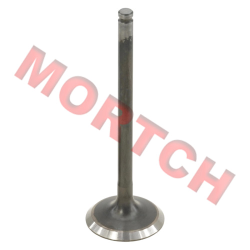 排气门 - Model MICF0GRV-022102-5000