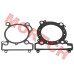 C4/C5上下垫 - Model MICF0GRV-0000TB 原厂CFMoto气缸垫片套装,适配CForce C4 Touring/C4/C5及GOES TERROX 550L/500L EPS 2026-2027款。包含气缸盖垫片和气缸体垫片各1件,发动机大修密封必备。