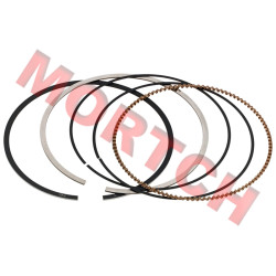 Piston Ring Assy - Model MICFSH-0GRV-0401A0