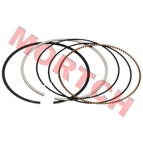 Piston Ring Assy - Model MICFSH-0GRV-0401A0