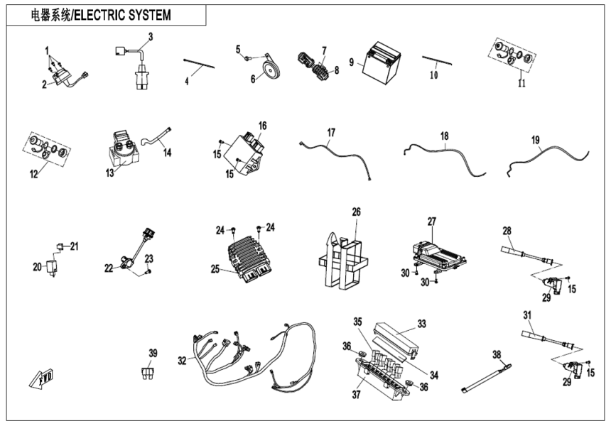 ELECTRIC SYSTEM