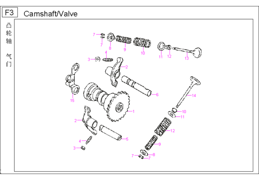 Camshaft & Valve Camshaft & Valve
