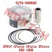 Piston Assy