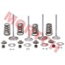Intake & Exhaust Valve Assy