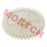 Oil Pump Idle Gear