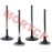 Intake & Exhaust Valve