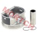 Piston Set