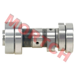 凸轮轴组合 - Model MICFL-140020004-0001 凸轮轴组合 - Model MICFL-140020004-0001