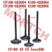 Inlet/Exhaust Valve
