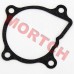 Water Pump Gasket