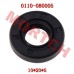 Water Pump Seal