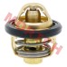 CF250 CH250 Thermostat