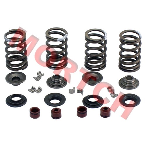 Valve Spring set