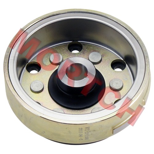 18 Pole Magneto Rotor