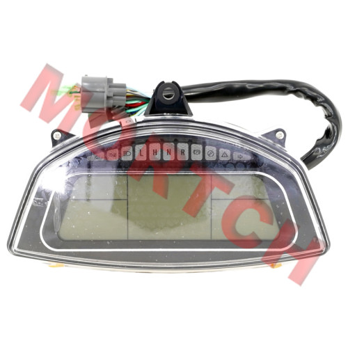 液晶仪表 - Model MICF9CR6-170100-20001