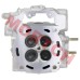191R气缸盖分总成SSV/UTV