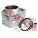 Cylinder Assy
