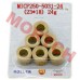 CF250 Variator Roller (23x18) 24g