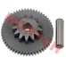 CF250 Big Double Gear Assy