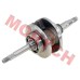 CF250 Crankshaft Assy