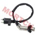 CF250 Ignition Coil