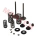 CF250 Inlet/Exhaust Valve Sets