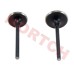 CF250 Inlet/Exhaust Valve
