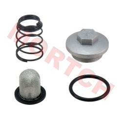 CF250 CH250 Oil Filter Cap Set