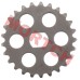 CF250 Gear for Oil Pump