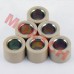 CF250 Variator Roller (23x18) 20g