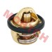 CF250 CH250 Thermostat