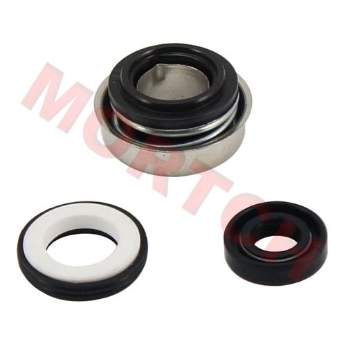 CF250 CH250 Water Pump Seal
