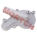Water Pump Cover