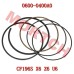 Piston Ring