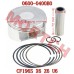 Piston Assy