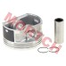 Piston Set