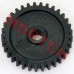 Oil Pump Gear