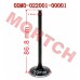 Air Intake / Exhaust Valve
