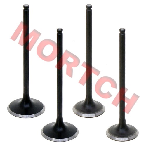 Air Intake / Exhaust Valve