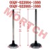Air Intake / Exhaust Valve