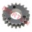 GY125/150 从动齿