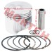 C100 Piston Assy