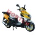 Falcon V 125cc 踏板车