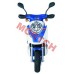 Natty B Lights Assy