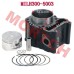Linhai 300 Water Cooled Cylinder Assy
