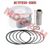 Linhai 250 Water Cooled Piston Assy